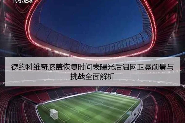 德约科维奇膝盖恢复时间表曝光后温网卫冕前景与挑战全面解析