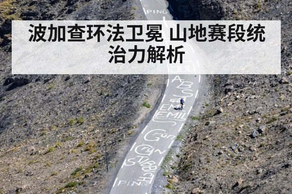 波加查环法卫冕 山地赛段统治力解析