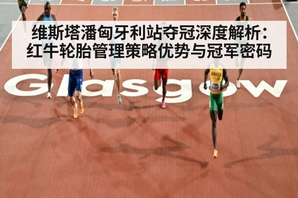 维斯塔潘匈牙利站夺冠深度解析：红牛轮胎管理策略优势与冠军密码