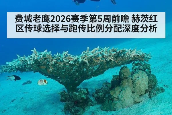 费城老鹰2026赛季第5周前瞻 赫茨红区传球选择与跑传比例分配深度分析